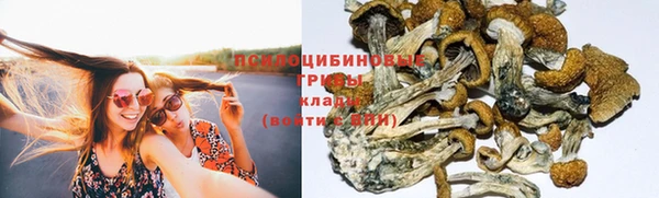 таблы Арсеньев