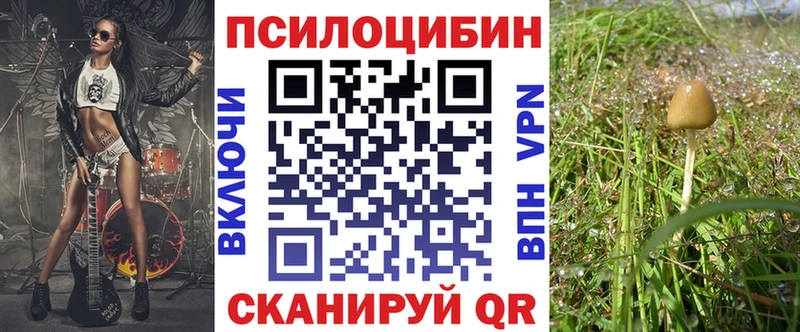 ОМГ ОМГ маркетплейс  купить   Артём  Псилоцибиновые грибы мицелий 